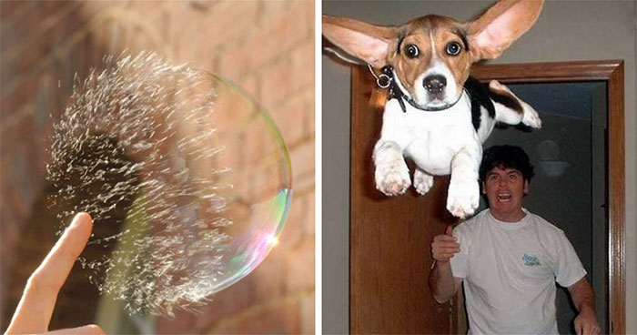 This Page Collects Perfectly Timed Photos And These 80 Are Truly Impressive