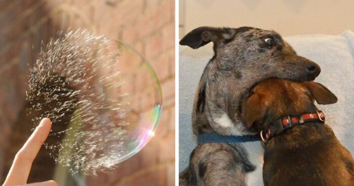 80 Times People Clicked The Button To Take The Photo At The Exact Right Time