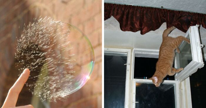 80 Times People Clicked The Button To Take The Photo At The Exact Right Time