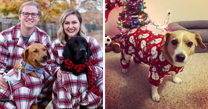 If You identify As A Crazy Pet Person, These 27 Gifts Should Be Under Your Tree