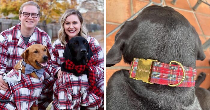 If You identify As A Crazy Pet Person, These 27 Gifts Should Be Under Your Tree