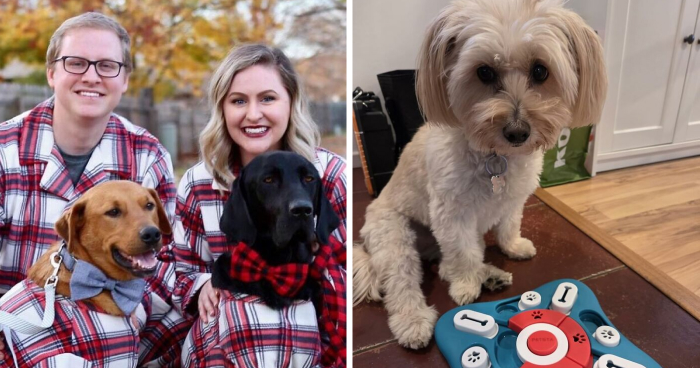 If You identify As A Crazy Pet Person, These 27 Gifts Should Be Under Your Tree