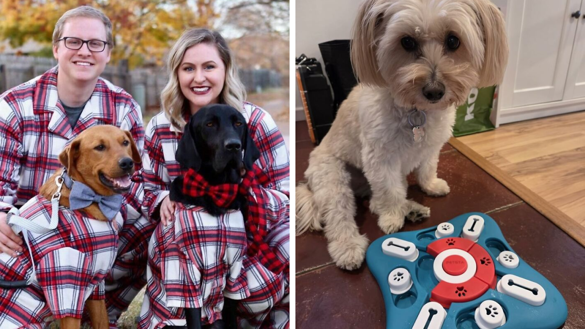 Two dogs with owners in matching plaid outfits and a small dog playing with an interactive pet gift toy indoors.