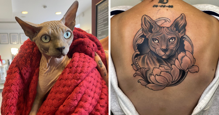 We Turned Memories Of People’s Pets Into Tattoos, Beautiful Tributes That Say What Words Can’t (22 Pics)