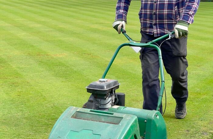 Person in gloves and plaid shirt mowing a green lawn with a green lawn mower in daylight true stories image.