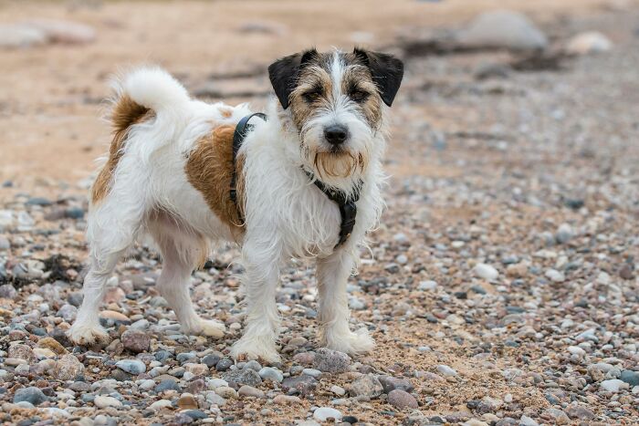 34 Times People Saw Something That Changed How They See The World