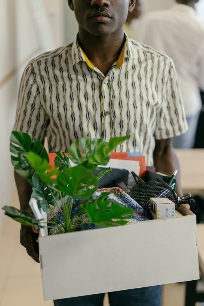 Person holding a box of unusual personal belongings including a plant and office items at a lost and found.