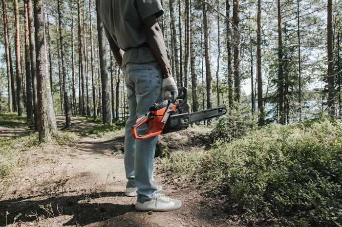 Person standing in forest holding a chainsaw, illustrating disturbing facts people learned against their will.