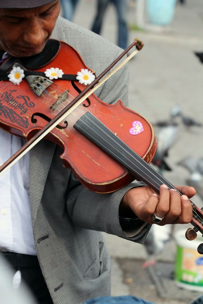 Man playing a worn violin decorated with flowers and a heart sticker in a busy outdoor airport setting with pigeons nearby