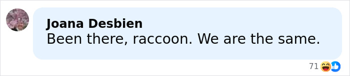 Social media comment reacting humorously to a raccoon raid at a liquor store and its passed out bathroom scene. Social media comment reacting humorously to a raccoon raid at a liquor store and its passed out bathroom scene.