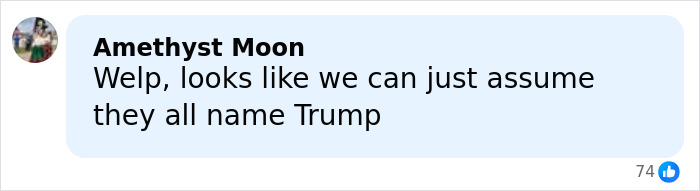 Comment on social media screen showing a user named Amethyst Moon joking about all names being Trump, related to Toddler's Foot photo discussion. Comment on social media screen showing a user named Amethyst Moon joking about all names being Trump, related to Toddler's Foot photo discussion.