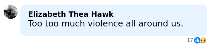Comment by Elizabeth Thea Hawk expressing concern about violence, related to Rob Reiner's daughter and LA home tragedy. Comment by Elizabeth Thea Hawk expressing concern about violence, related to Rob Reiner's daughter and LA home tragedy.
