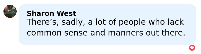Comment by Sharon West expressing concern about people lacking common sense and manners online. Comment by Sharon West expressing concern about people lacking common sense and manners online.