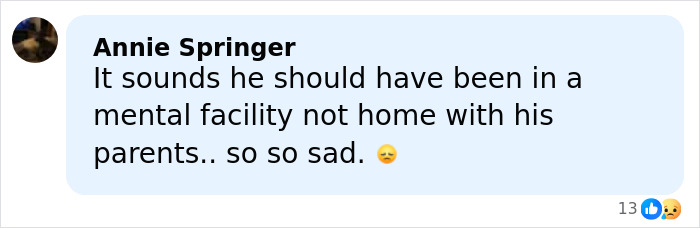 Comment by Annie Springer expressing concern about someone's mental health and sadness, related to Rob Reiner&rsquo;s son Nick.