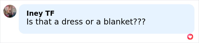 Screenshot of a comment reading Is that a dress or a blanket with a blurred profile picture in a light blue chat bubble. Screenshot of a comment reading Is that a dress or a blanket with a blurred profile picture in a light blue chat bubble.