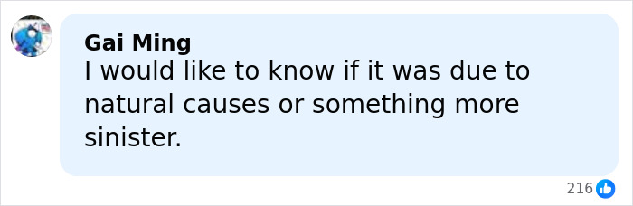 Horrifying Update After Bodies Of Nearly 800 Babies Found In Septic Tank
