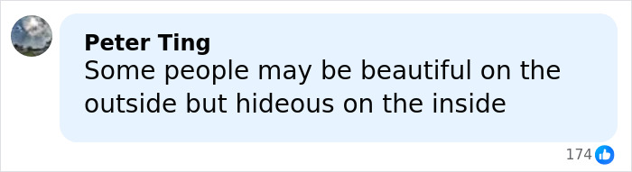 Comment by Peter Ting criticizing inner character despite outward beauty on social media, related to Japan government and Finland incident.