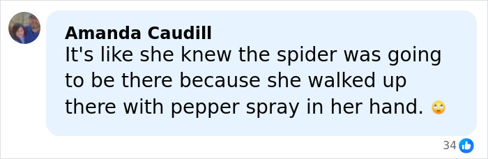 Comment from Amanda Caudill discussing someone carrying pepper spray during a spider encounter related to DoorDasher arrest.
