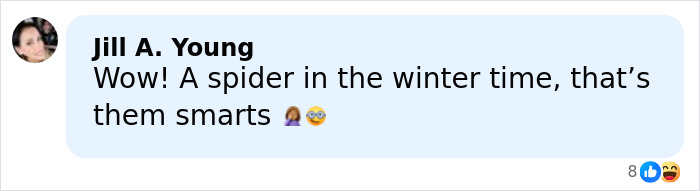 Screenshot of social media comment reacting to bizarre DoorDasher pepper-spraying food incident with shocked emojis.