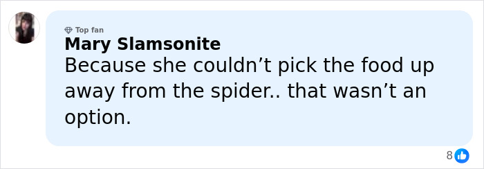 User comment by Mary Slamsonite explaining bizarre excuse for pepper-spraying food during DoorDasher arrest incident.