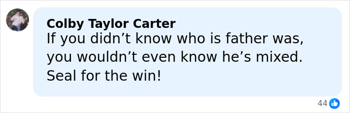 Social media comment discussing Heidi Klum and her son, sparking outrage over model material debate. Social media comment discussing Heidi Klum and her son, sparking outrage over model material debate.