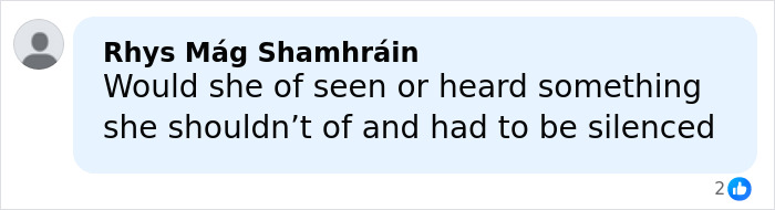 Comment by Rhys M&aacute;g Shamhr&aacute;in questioning if the Vatican Girl cold case involves silencing a witness after 42 years.