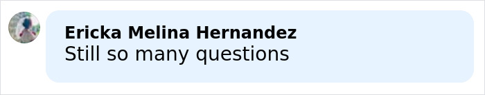Comment by Ericka Melina Hernandez stating still so many questions, related to Vatican Girl cold case discussion.