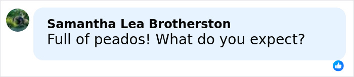 Screenshot of a Facebook comment reading Full of paedos! What do you expect? related to Vatican Girl cold case discussion.