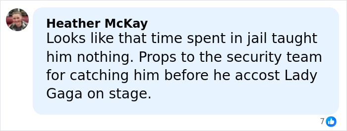 Comment mentioning a man jailed for attacking Ariana Grande and causing trouble at Lady Gaga’s concert, praising security team.