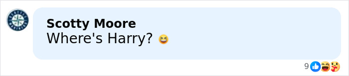 Social media comment asking Where's Harry with a laughing emoji and various reactions below the text. Social media comment asking Where's Harry with a laughing emoji and various reactions below the text.