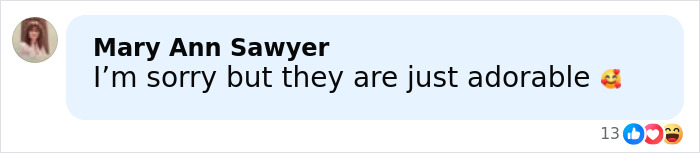 Comment by Mary Ann Sawyer praising a couple as adorable, with 13 likes and various reaction emojis. Comment by Mary Ann Sawyer praising a couple as adorable, with 13 likes and various reaction emojis.