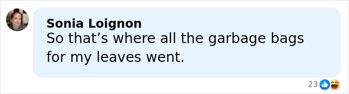 Sonia Loignon commenting humorously about missing garbage bags for her leaves in a social media post. Sonia Loignon commenting humorously about missing garbage bags for her leaves in a social media post.