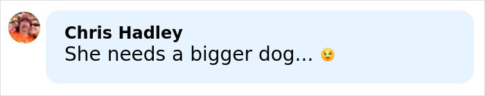 Comment by Chris Hadley saying she needs a bigger dog with a winking emoji responsive to a social post.