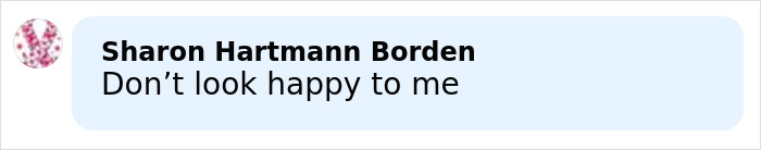 Comment on Melania and Donald Trump's Christmas card expressing they look miserable and unhappy in the online backlash.