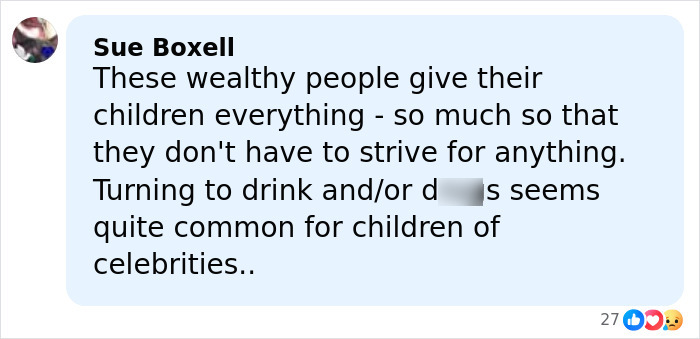 Comment by Sue Boxell discussing wealthy celebrity children turning to drink and d***s in a social media post. Comment by Sue Boxell discussing wealthy celebrity children turning to drink and d***s in a social media post.