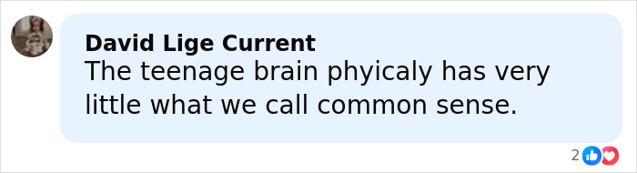 Screenshot of a Facebook comment discussing the teenage brain and common sense in relation to accused teens luring a daughter into woods. Screenshot of a Facebook comment discussing the teenage brain and common sense in relation to accused teens luring a daughter into woods.