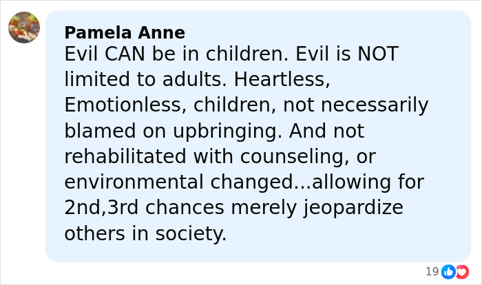 Comment by Pamela Anne discussing disturbing tactics accused teens used to lure daughter into woods before attack. Comment by Pamela Anne discussing disturbing tactics accused teens used to lure daughter into woods before attack.