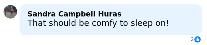 Comment on Cardi B getting new neck and back piercings saying it should be comfy to sleep on. Comment on Cardi B getting new neck and back piercings saying it should be comfy to sleep on.