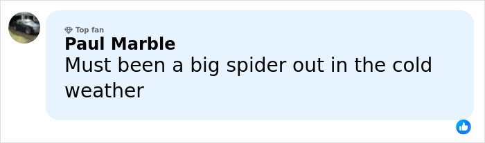 Comment section screenshot showing a user named Paul Marble replying humorously about a spider in cold weather related to a DoorDasher incident.