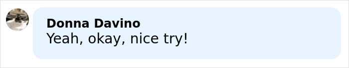 Comment by Donna Davino saying yeah okay nice try in a light blue speech bubble on a white background