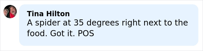 Comment from Tina Hilton discussing a spider near food in a light blue chat bubble on a social app.