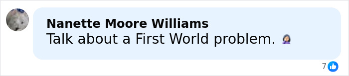 Comment on social media by Nanette Moore Williams discussing a First World problem with 7 reactions visible. Comment on social media by Nanette Moore Williams discussing a First World problem with 7 reactions visible.