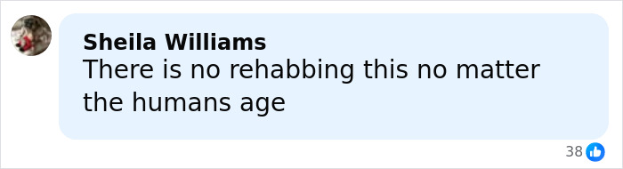 Comment by Sheila Williams stating there is no rehabbing for this crime regardless of human's age.