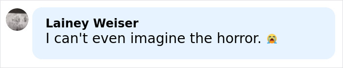 Comment on social media post expressing horror about woman taking a bullet for 3-year-old daughter during Bondi Beach attack.