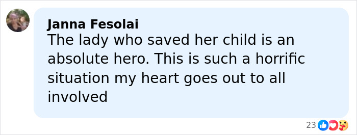 Comment highlighting a woman heroically taking a bullet to save a 3-year-old daughter during Bondi Beach attack.