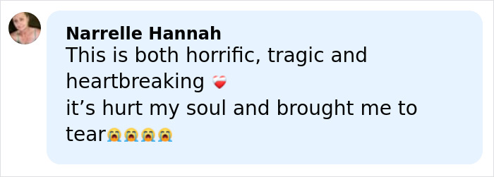 Horrifying Update After Bodies Of Nearly 800 Babies Found In Septic Tank