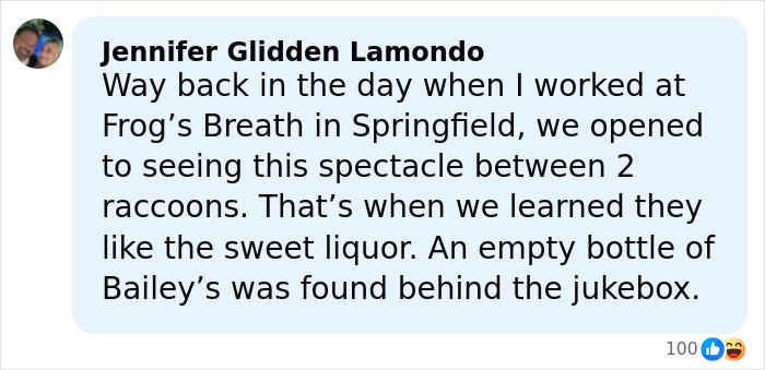 Comment describing raccoons raiding liquor store and enjoying sweet liquor, sparking funny memories and reactions. Comment describing raccoons raiding liquor store and enjoying sweet liquor, sparking funny memories and reactions.