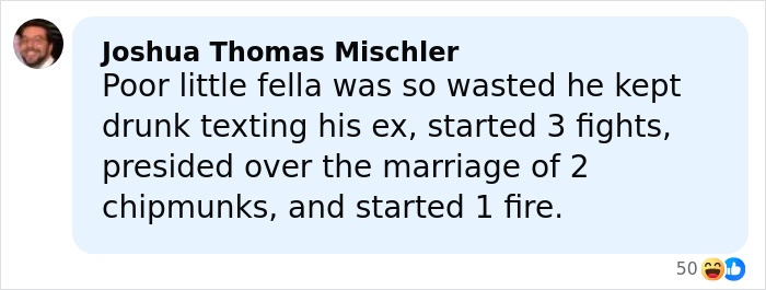 Comment describing a raccoon raid at a liquor store, humorously recounting chaotic behavior leading to it passing out in the bathroom. Comment describing a raccoon raid at a liquor store, humorously recounting chaotic behavior leading to it passing out in the bathroom.