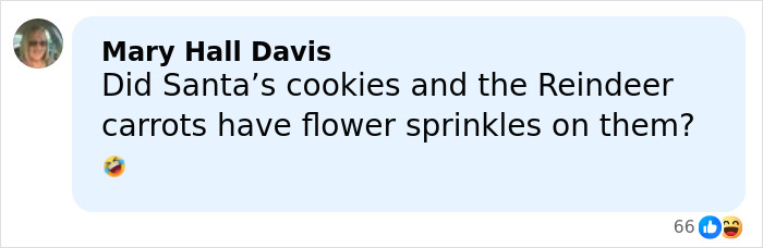 Comment from Mary Hall Davis asking about flower sprinkles on Santa&rsquo;s cookies and Reindeer carrots, sparking Meghan Markle split rumors.