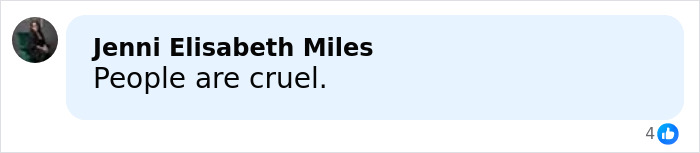 Screenshot of a Facebook comment by Jenni Elisabeth Miles saying "People are cruel" in response to fan questions about Selena Gomez mustache. Screenshot of a Facebook comment by Jenni Elisabeth Miles saying "People are cruel" in response to fan questions about Selena Gomez mustache.